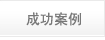 �ɹ�����